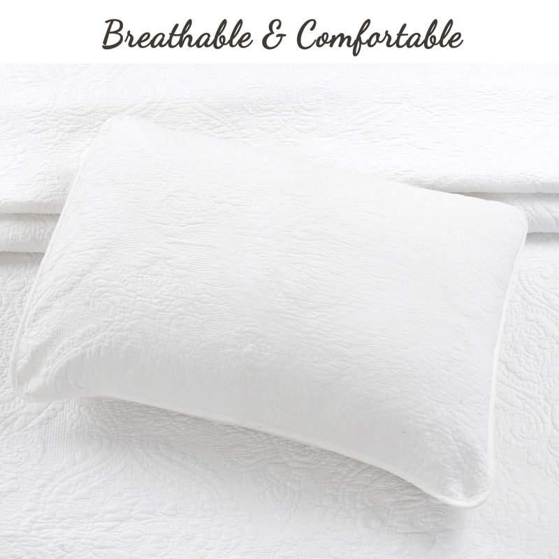 Gracie Oaks Altha 100 Cotton Quilt Set & Reviews Wayfair